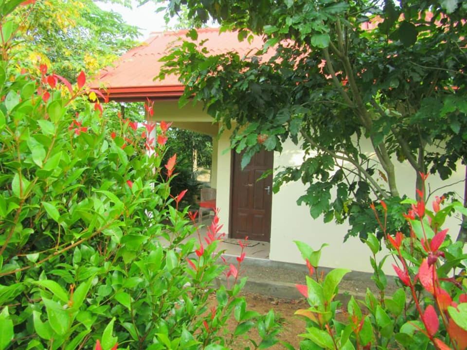 Hotel Tree Garden Wilpaththu Nochchiyagma Anuradhapura Nochchiyagama Εξωτερικό φωτογραφία
