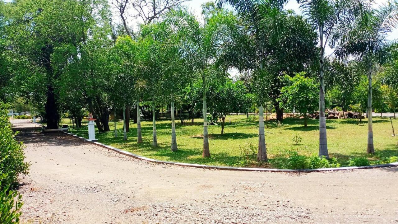 Hotel Tree Garden Wilpaththu Nochchiyagma Anuradhapura Nochchiyagama Εξωτερικό φωτογραφία