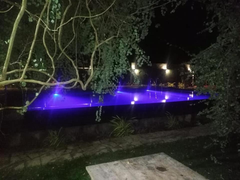 Hotel Tree Garden Wilpaththu Nochchiyagma Anuradhapura Nochchiyagama Εξωτερικό φωτογραφία