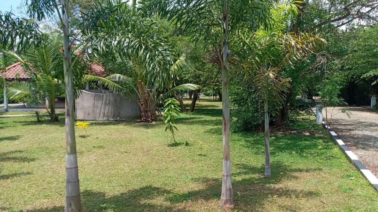 Hotel Tree Garden Wilpaththu Nochchiyagma Anuradhapura Nochchiyagama Εξωτερικό φωτογραφία