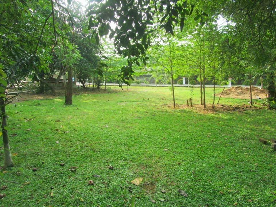 Hotel Tree Garden Wilpaththu Nochchiyagma Anuradhapura Nochchiyagama Εξωτερικό φωτογραφία