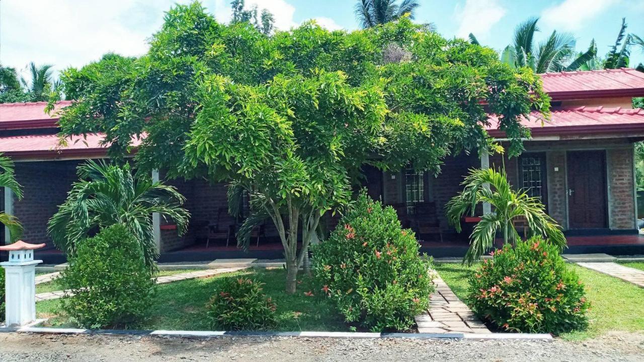 Hotel Tree Garden Wilpaththu Nochchiyagma Anuradhapura Nochchiyagama Εξωτερικό φωτογραφία