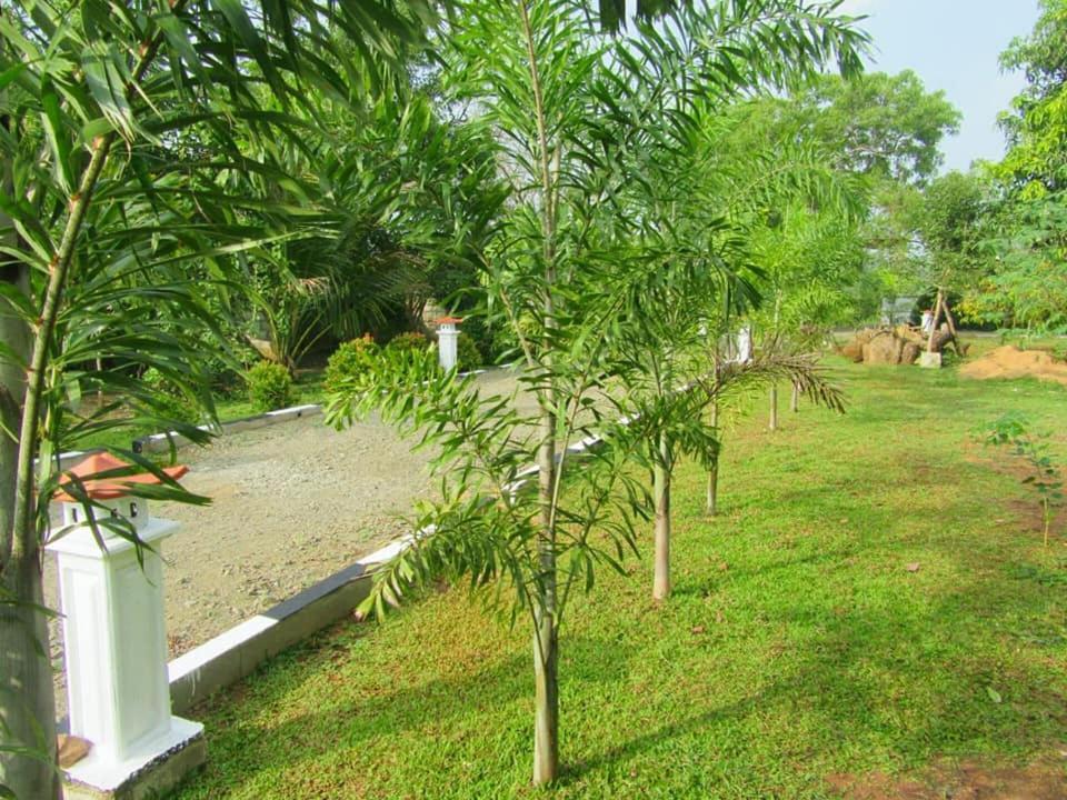 Hotel Tree Garden Wilpaththu Nochchiyagma Anuradhapura Nochchiyagama Εξωτερικό φωτογραφία