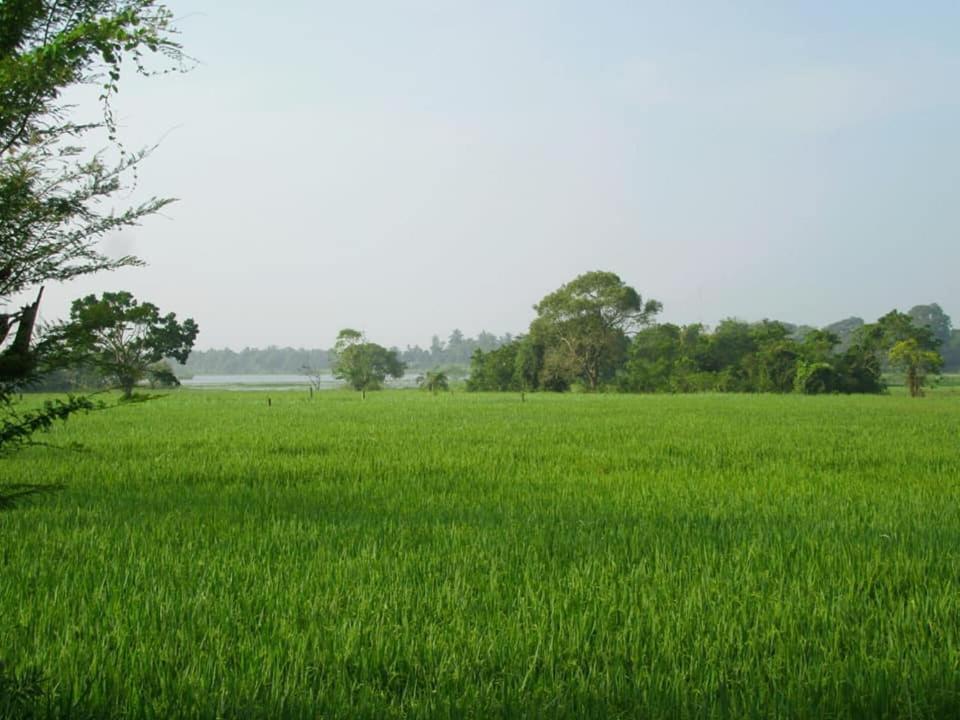 Hotel Tree Garden Wilpaththu Nochchiyagma Anuradhapura Nochchiyagama Εξωτερικό φωτογραφία