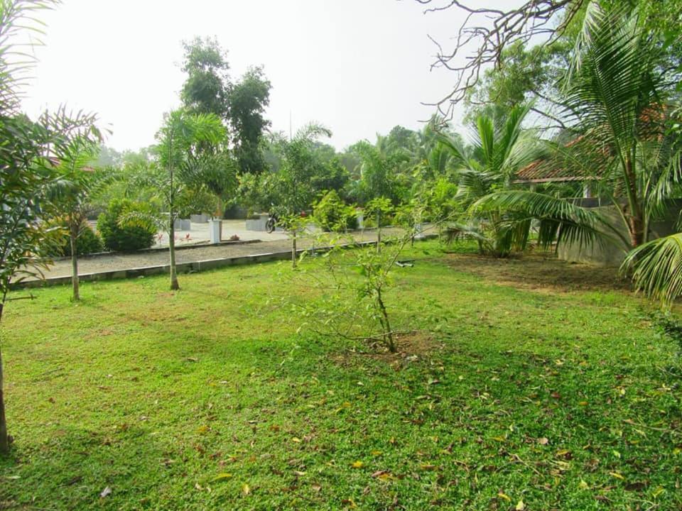 Hotel Tree Garden Wilpaththu Nochchiyagma Anuradhapura Nochchiyagama Εξωτερικό φωτογραφία