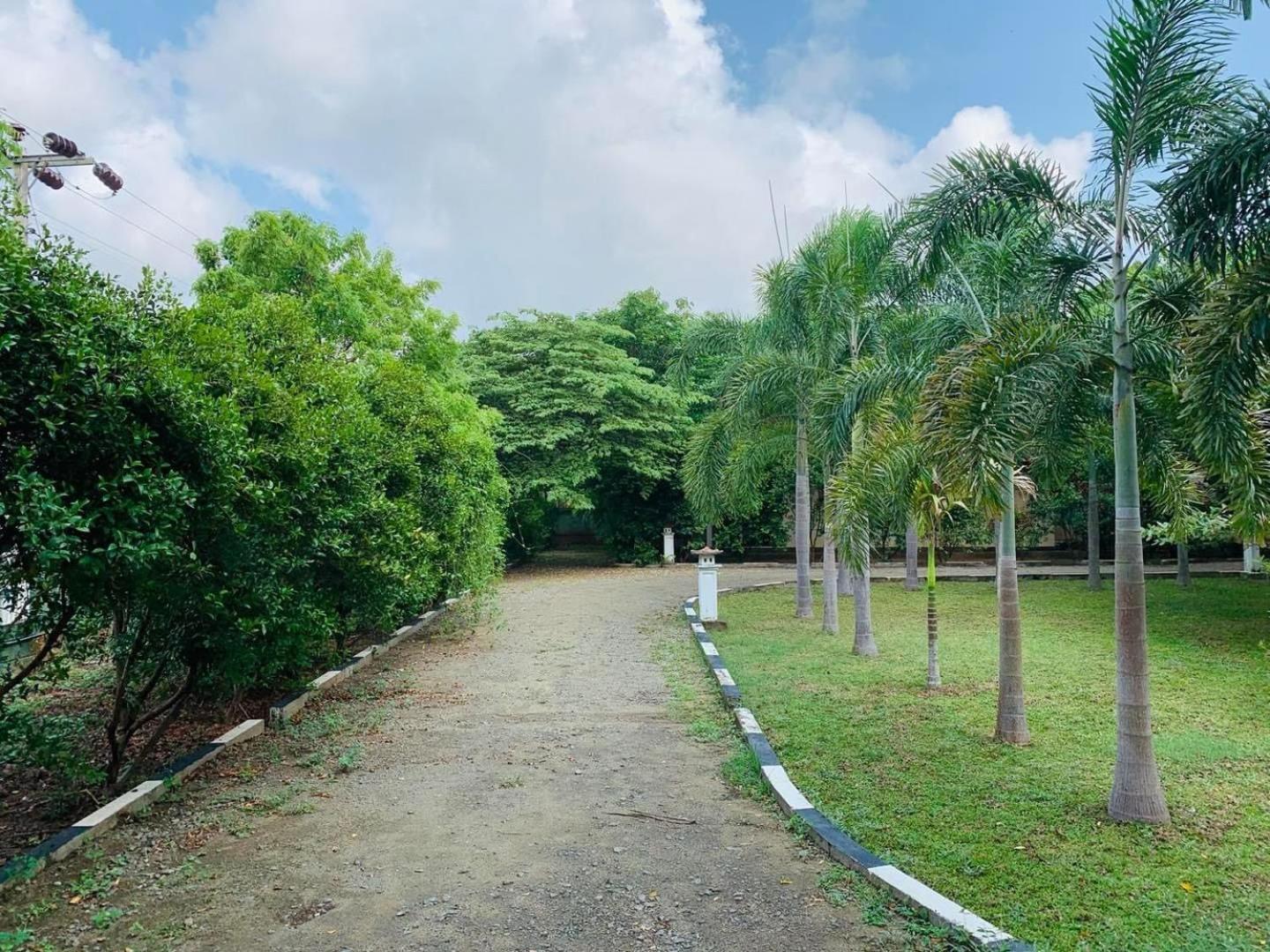 Hotel Tree Garden Wilpaththu Nochchiyagma Anuradhapura Nochchiyagama Εξωτερικό φωτογραφία