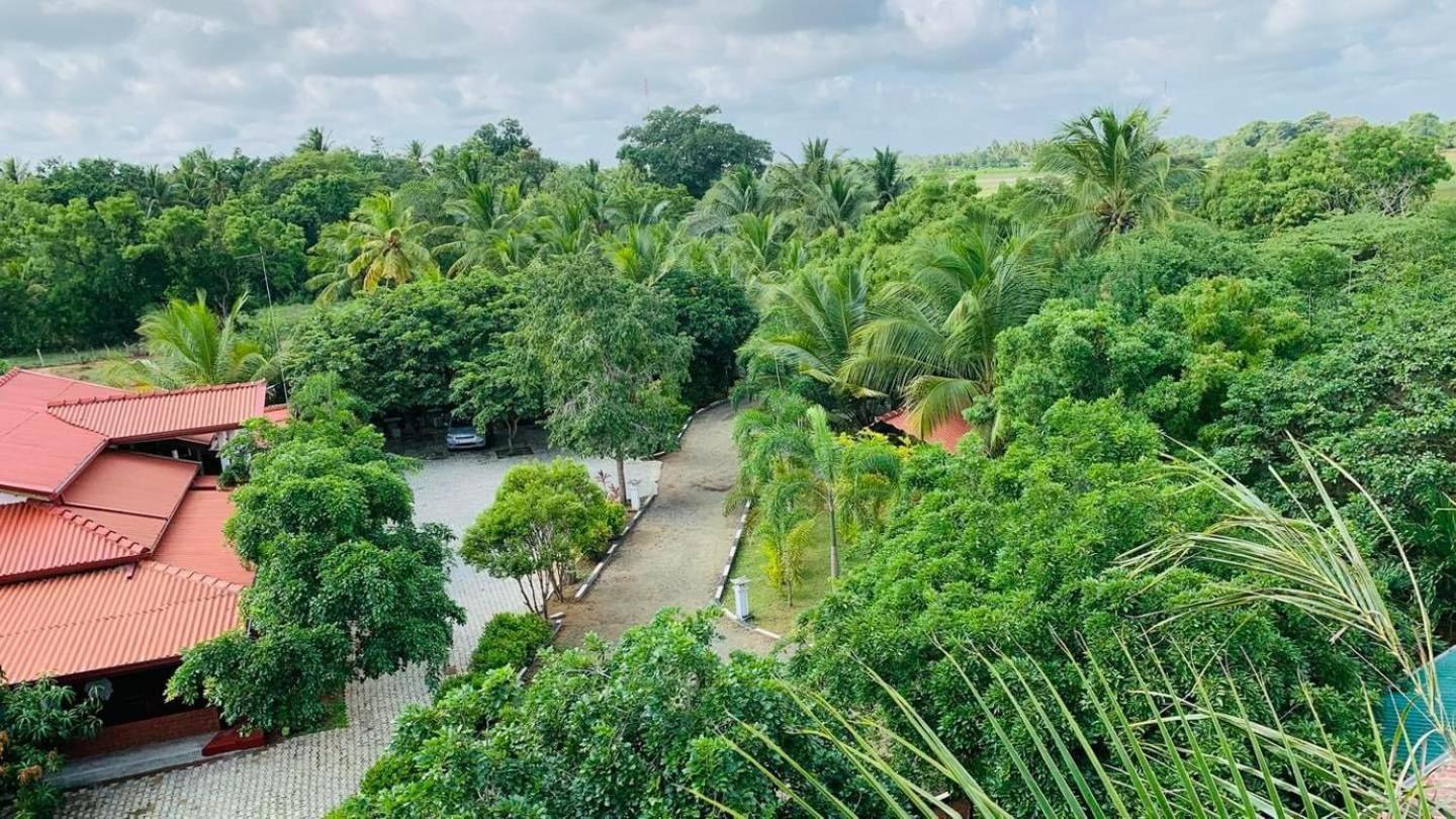 Hotel Tree Garden Wilpaththu Nochchiyagma Anuradhapura Nochchiyagama Εξωτερικό φωτογραφία