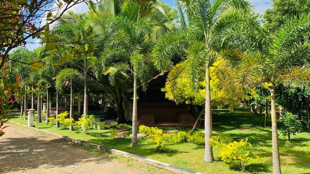Hotel Tree Garden Wilpaththu Nochchiyagma Anuradhapura Nochchiyagama Εξωτερικό φωτογραφία