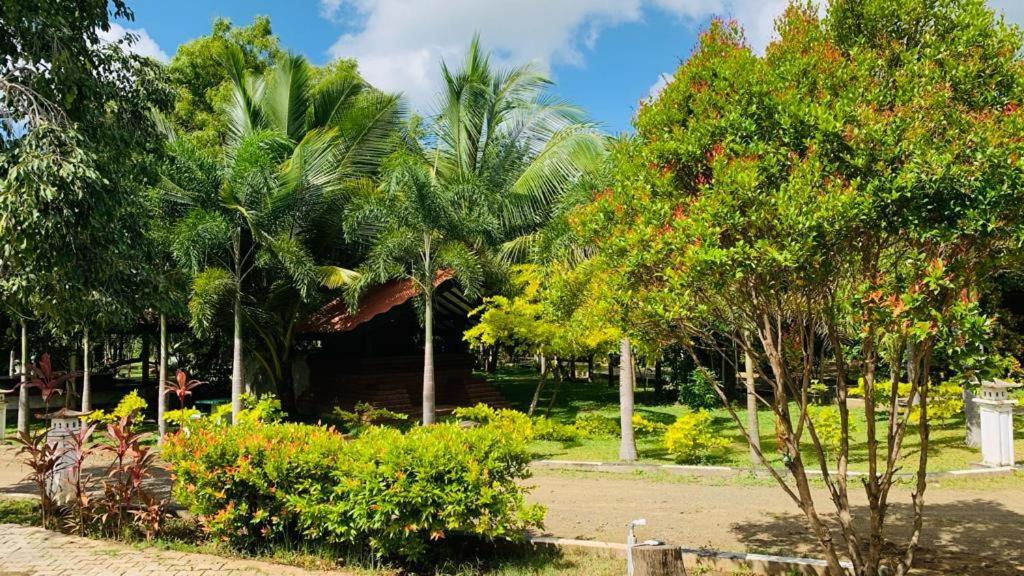 Hotel Tree Garden Wilpaththu Nochchiyagma Anuradhapura Nochchiyagama Εξωτερικό φωτογραφία